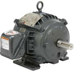 US Motors Cooling Tower Duty Motor Image